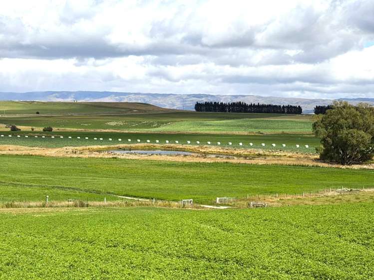 Bypass Road Ranfurly_18