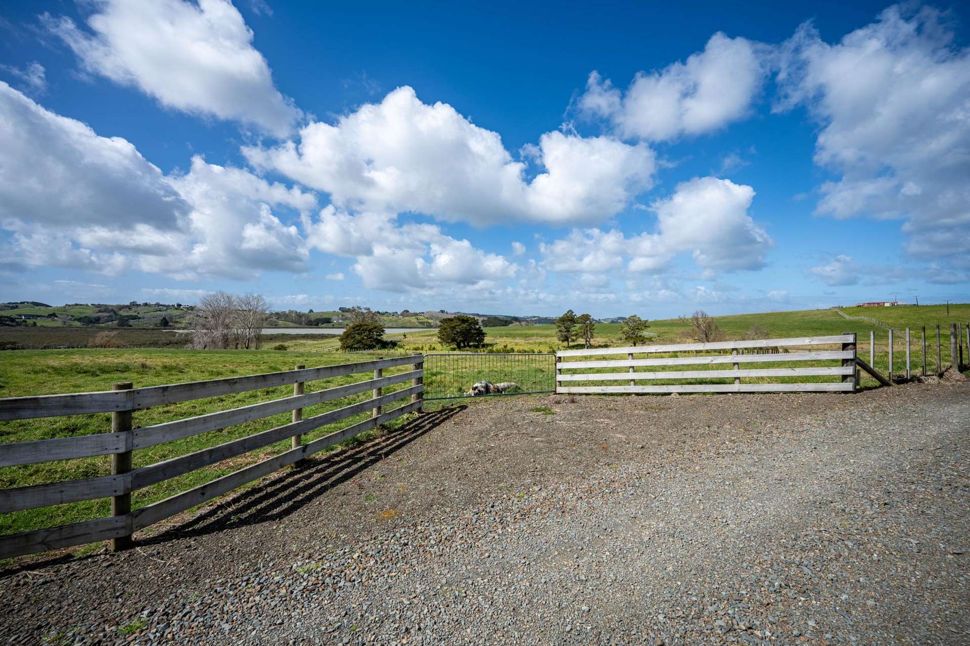 Lot 2 Minnie Casey Rise Matakohe_0