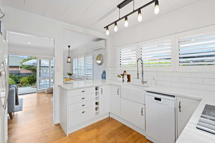 21b Nukumea Common Orewa_11