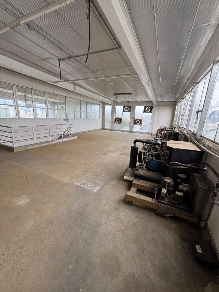 2/500 Williams Street Mahora_4