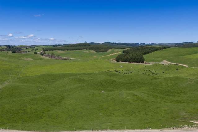 937 AB Wiltsdown Road South Waikato Surrounds_4
