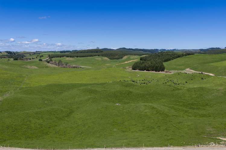 937 AB Wiltsdown Road South Waikato Surrounds_4