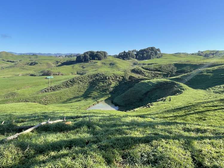 80b Mangaotaki Road Piopio_35