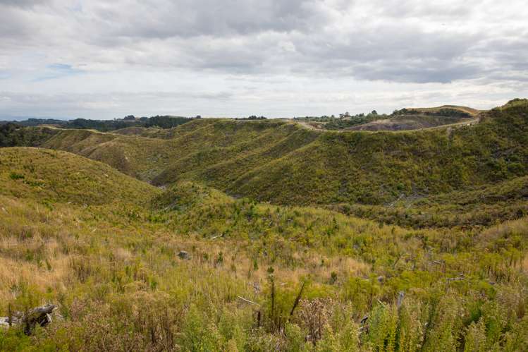 Ridge Road Pohangina_3