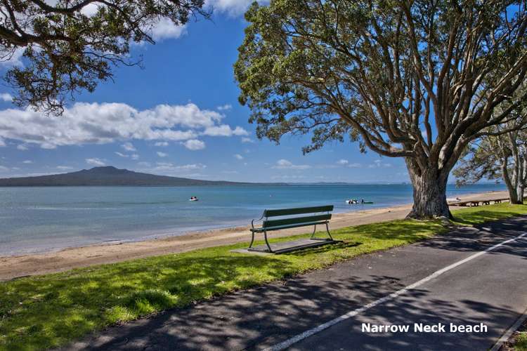 3/38 Old Lake Road Narrow Neck_13