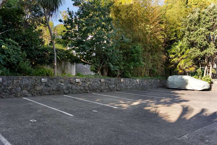 6/13 Coles Avenue Mount Eden_20