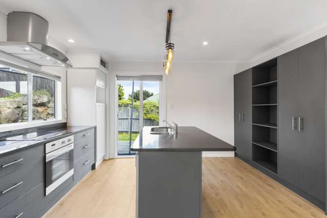 2 Laud Avenue Ellerslie_2