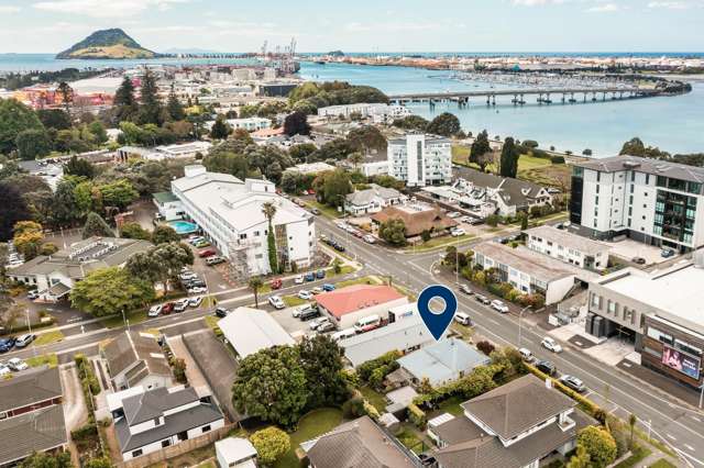 21 Willow Street Tauranga Central_1