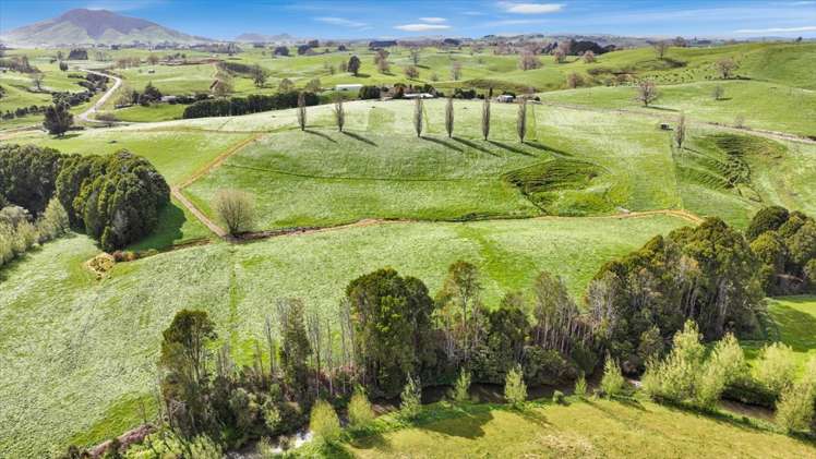 40 Turitea Road Otorohanga_24