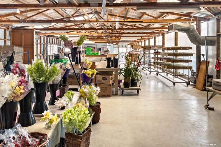 80 Orere-Matingarahi Road Orere Point_8