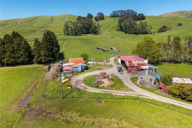 86 Mangatainoka Valley Road Nireaha_3