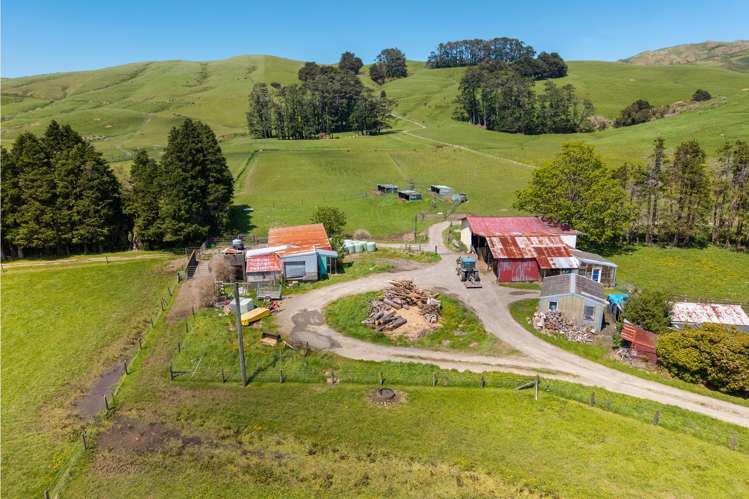 86 Mangatainoka Valley Road Nireaha_3