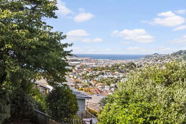3/16 Marewa Road 1277_1