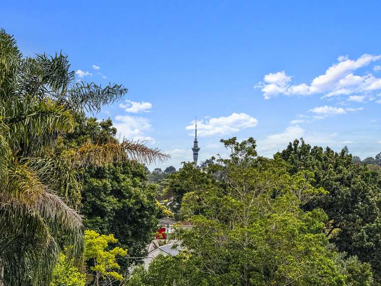 71 Landscape Road Mount Eden_9