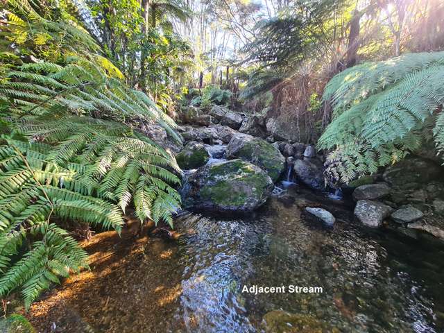 340 Buffalo Road Coromandel_3