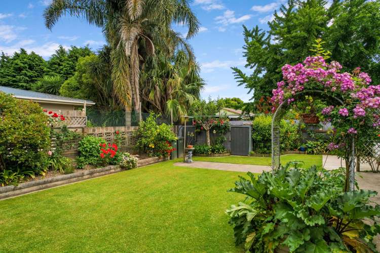 20 Rambler Drive Whakatane_3