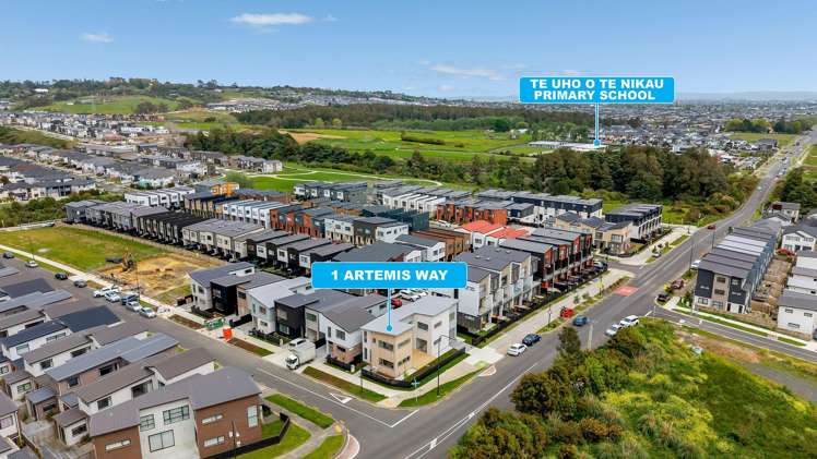 1 Artemis Way Flat Bush_19