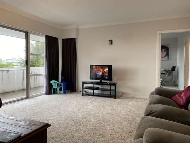 8 Otterson Street Tahunanui_3