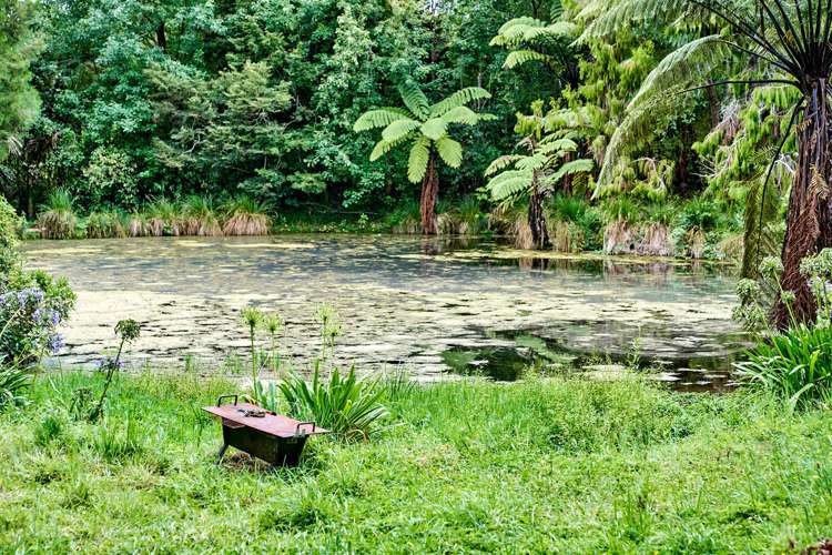 1200 State Highway 1 Manakau_7