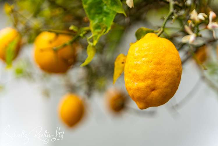 15 Bickerstaffe Road Maungaturoto_4