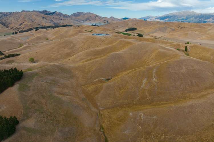 109 Haldons Road Seddon_17