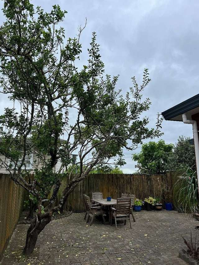 12B Raleigh Road Northcote_2