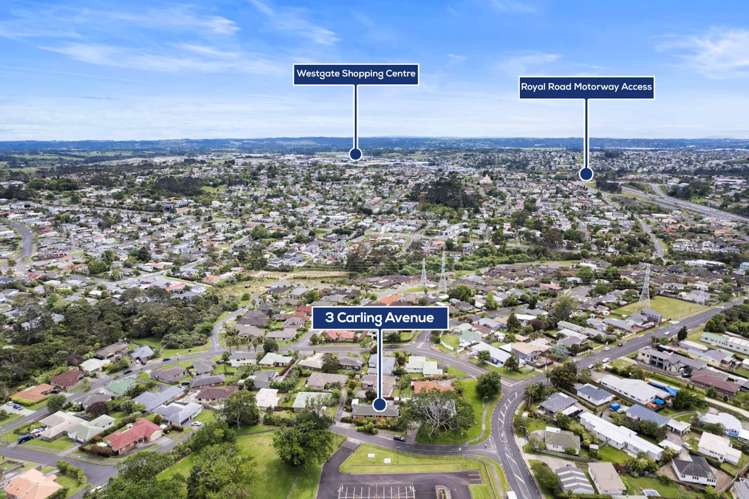 3 Carling Avenue Massey_10