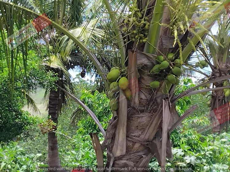 Address withheld Labasa_16