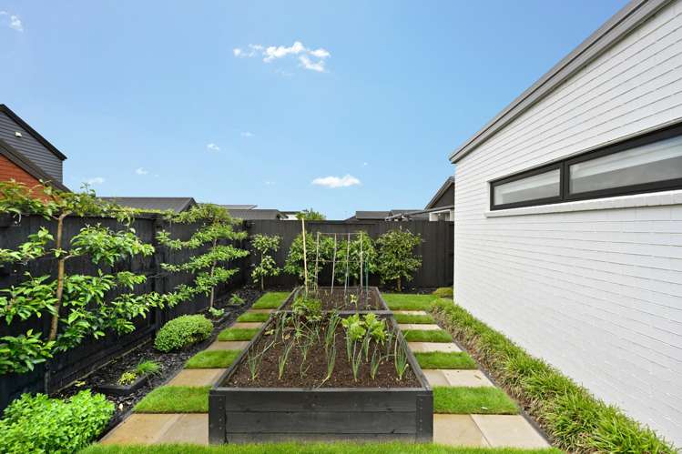 10 Alker Road Chartwell_17