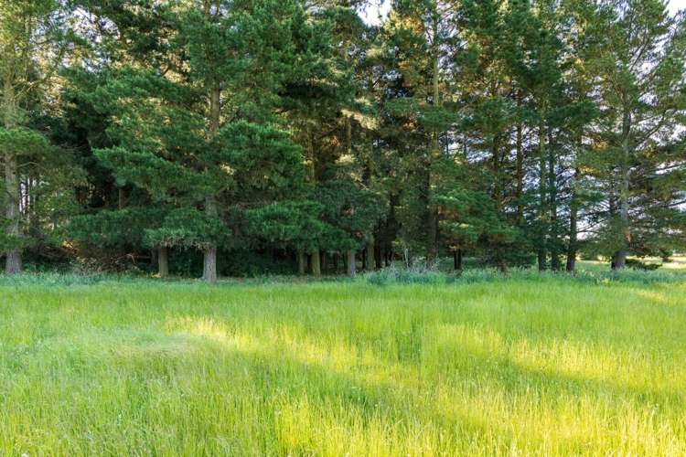 192 Yeomans Road Darfield_24