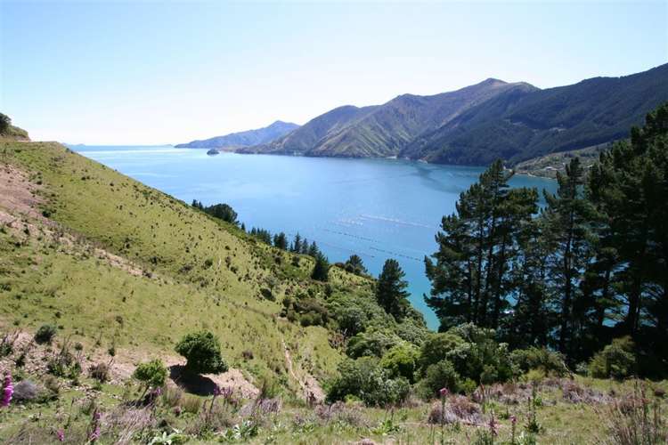Admiralty Bay Marlborough Sounds_7
