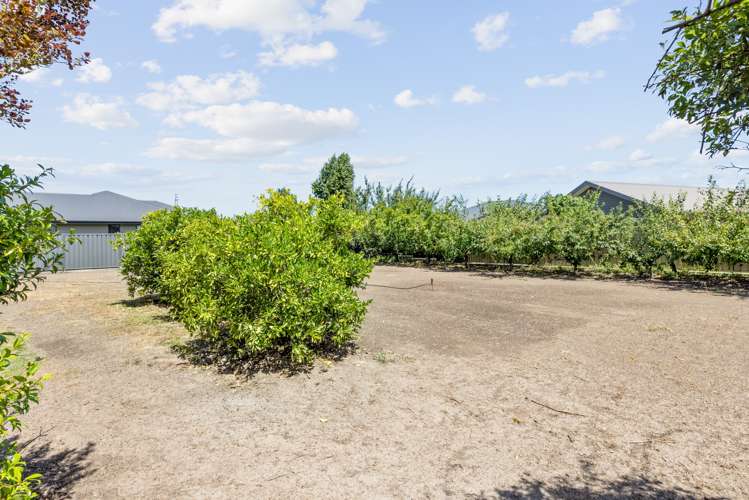 8 Whittaker Place Havelock North_19