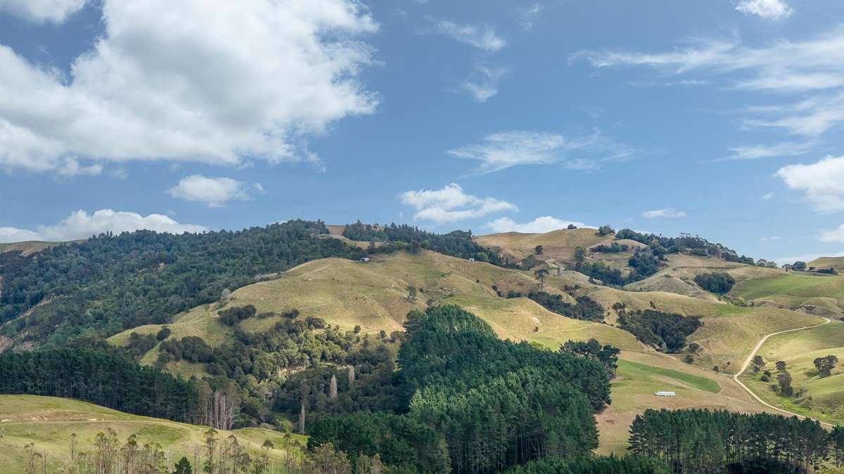 4/766 French Pass Road_1