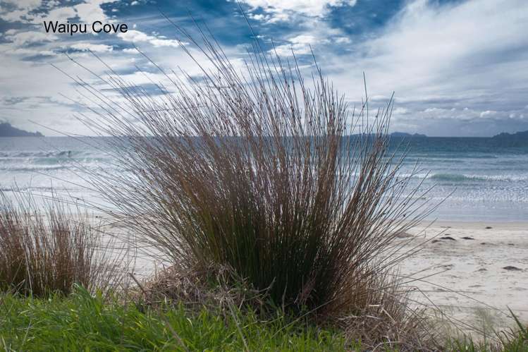 20 Green Estate Drive Waipu_6