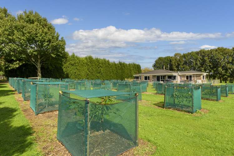 400 Mclaren Falls Road Kaimai_15