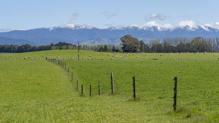 Lot 1, Lot 2 Cornwall Road East Taratahi_12