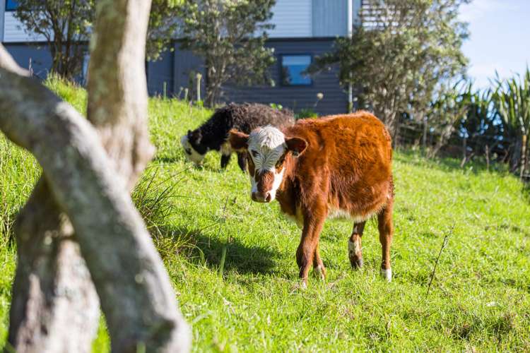 18 Bennett Street Port Albert_14