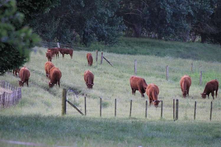 262 Henry Watson Road Matamata_12