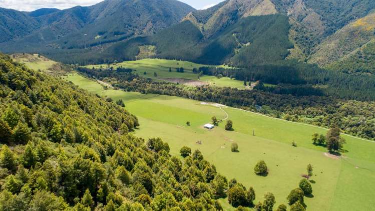 614 Gowan Valley Road Kahurangi National Park_9