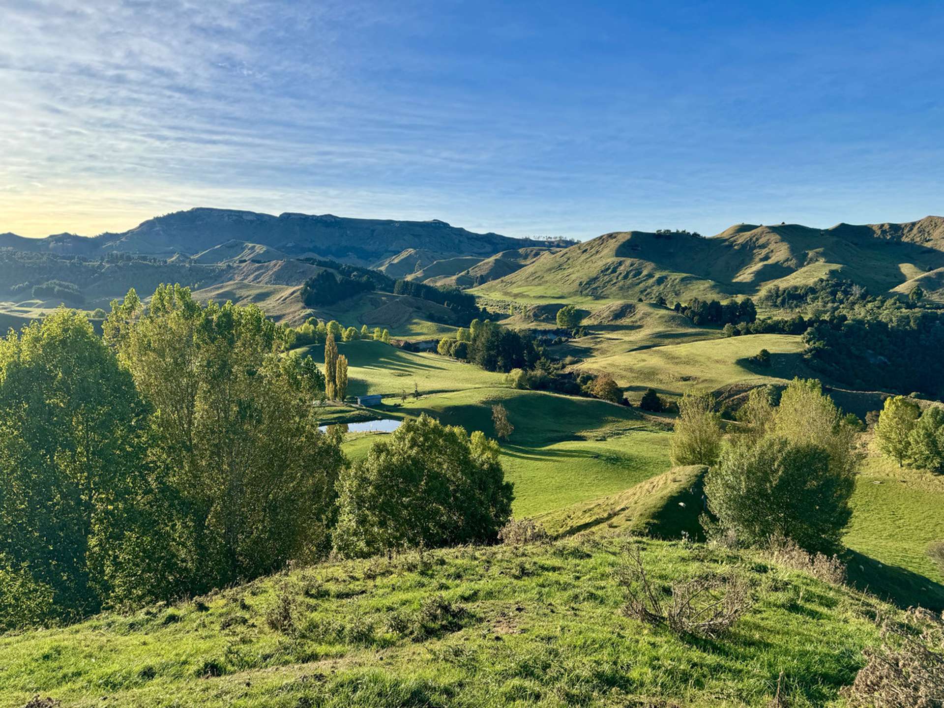 894 Otuarei Road Rangitikei Surrounds_0