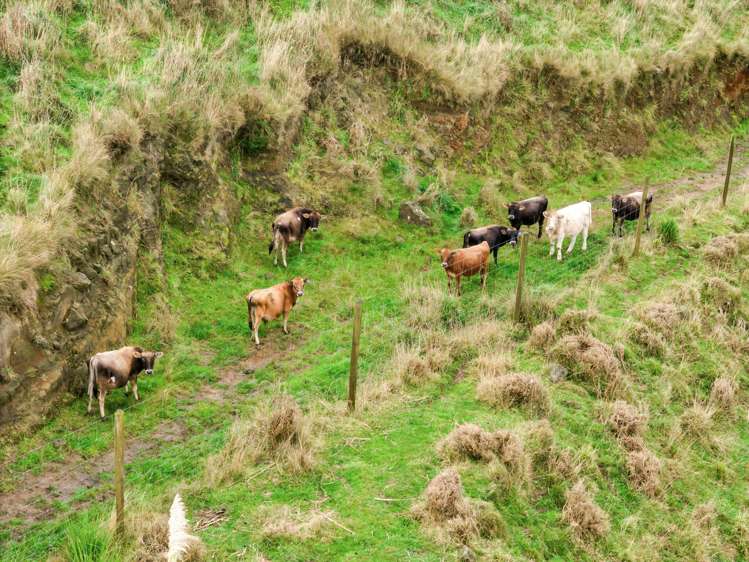 1326 State Highway 3 Manutahi_26