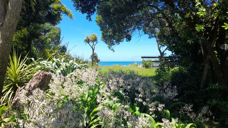 3 Totara Avenue Collingwood_8