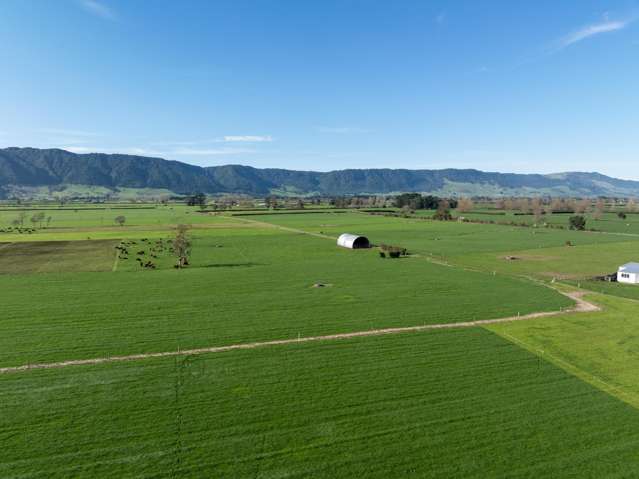 1099 Tower Road Matamata_1