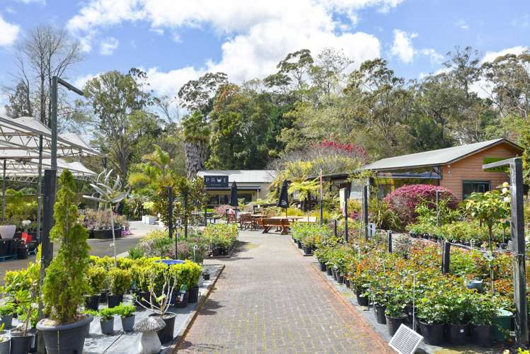 147 Sala Street Fenton Park_9