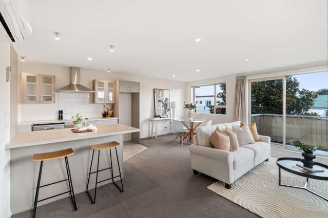 D/25 Montrose Street Sydenham_2