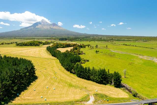 398 Wiremu Road Te Kiri_1