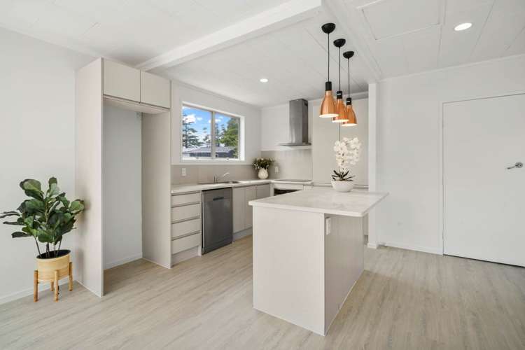 45 Universal Drive Henderson_5