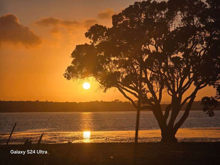 23A Hartland Avenue Glendowie_18