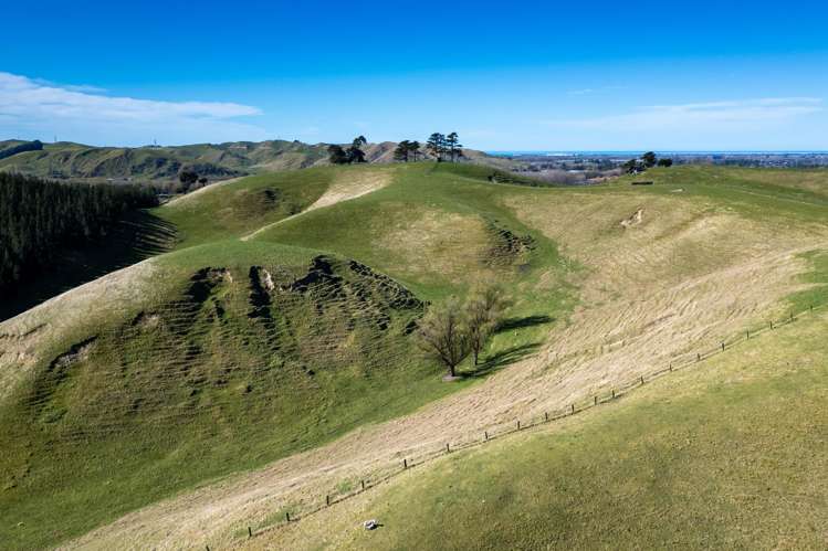 201 Breckenridge Road Puketapu_26