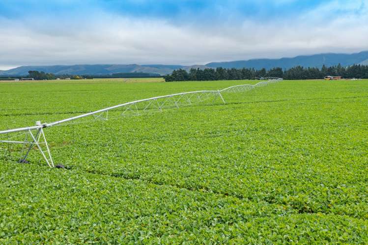 130 Glentui Bennetts Road Oxford_12